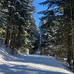 בית נופש The Wurmstein House - Contemporary Mountain *