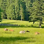 בית נופש The Wurmstein House - Contemporary Mountain *