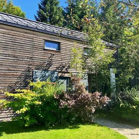 The Wurmstein House - Contemporary Mountain Bad Goisern