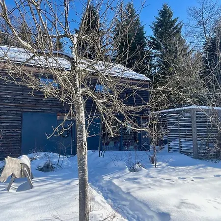The Wurmstein House - Contemporary Mountain 度假居 *