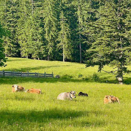 بيت للعطل The Wurmstein House - Contemporary Mountain *