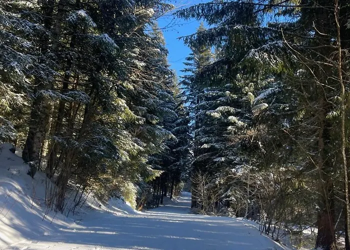 Сasa de vacaciones The Wurmstein House - Contemporary Mountain *