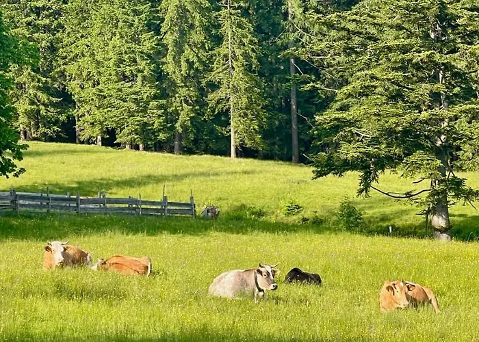 Сasa de vacaciones The Wurmstein House - Contemporary Mountain *