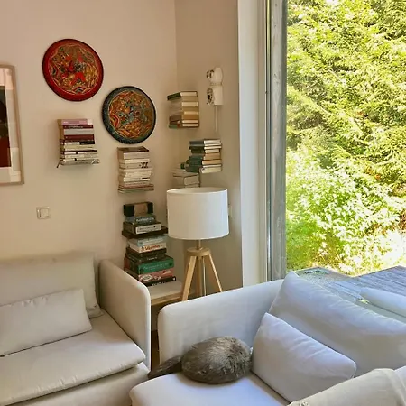 펜션 The Wurmstein House - Contemporary Mountain *