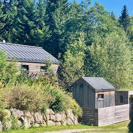 The Wurmstein House - Contemporary Mountain *