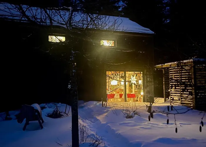 The Wurmstein House - Contemporary Mountain Tatil Evi Bad Goisern