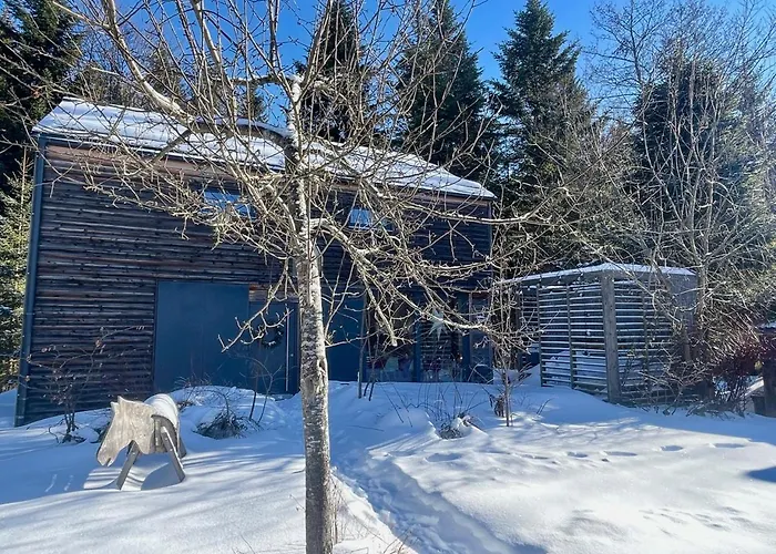 The Wurmstein House - Contemporary Mountain Semesterbostad *