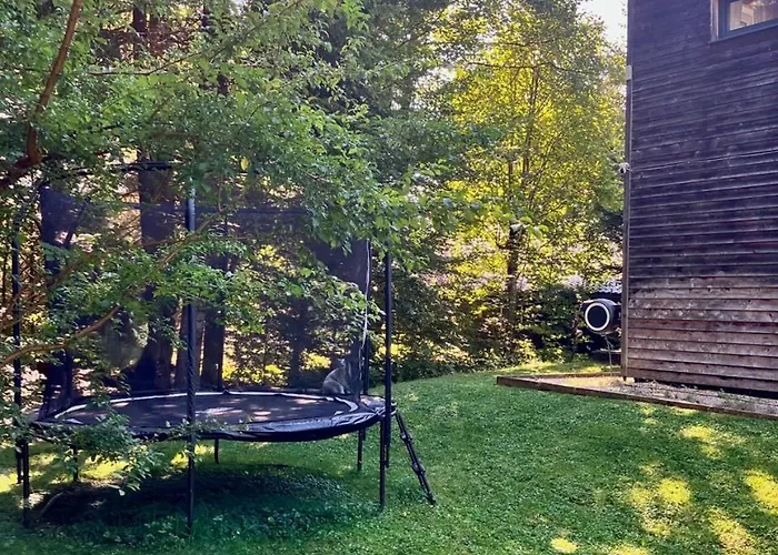 The Wurmstein House - Contemporary Mountain *