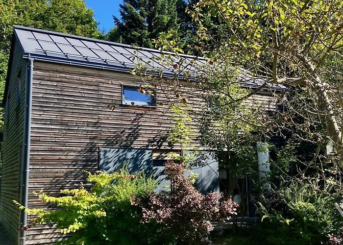 The Wurmstein House - Contemporary Mountain